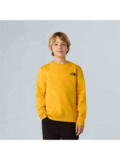 Felpa NSE Box da ragazzi THE NORTH FACE | NF0A89H7/56P1